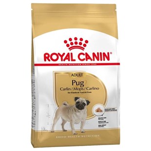 Royal Canin Pug Adult Yetişkin Köpek Maması 1,5 Kg
